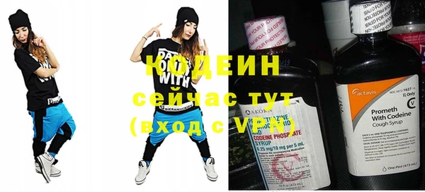 стаф Бородино