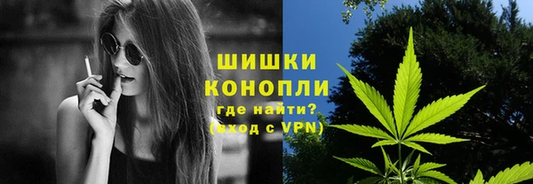 стаф Бородино