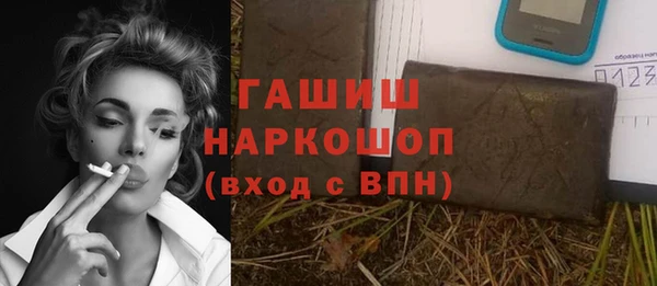 стаф Бородино