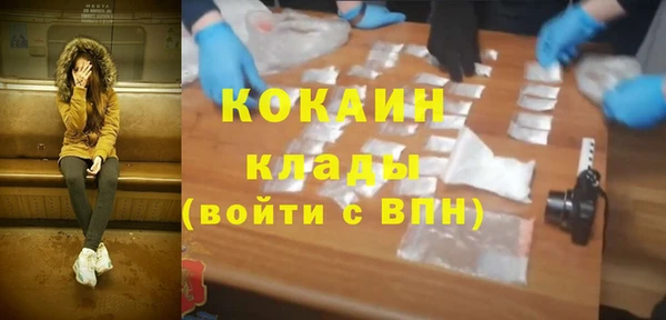 стаф Бородино