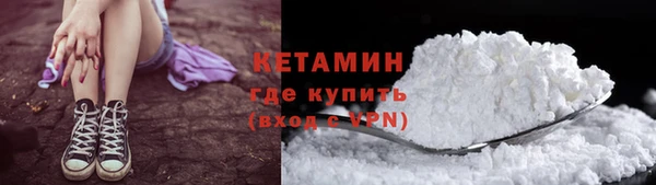 стаф Бородино