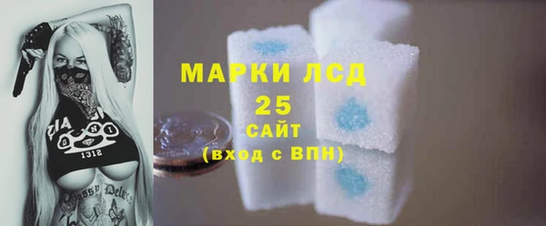 стаф Бородино