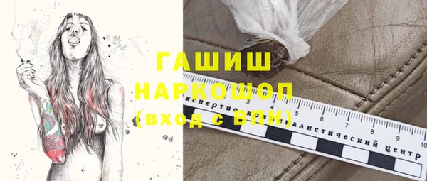 стаф Бородино