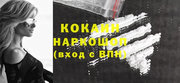 стаф Бородино