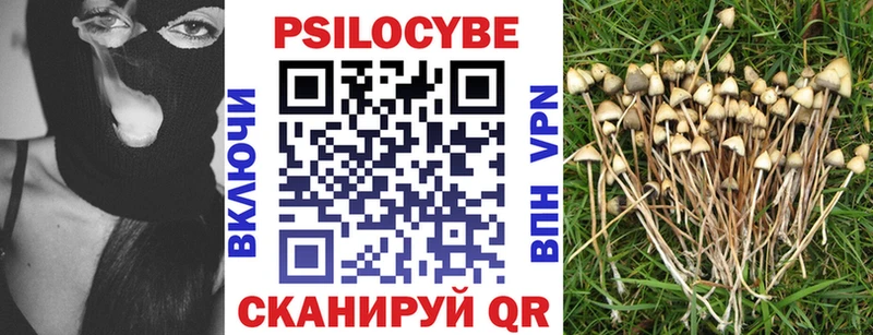Галлюциногенные грибы Psilocybe  купить наркоту  ссылка на мегу tor  Нарткала 